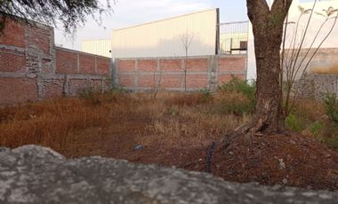 TERRENO COMERCIAL EN RENTA