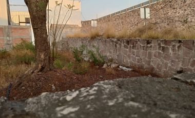TERRENO COMERCIAL EN RENTA