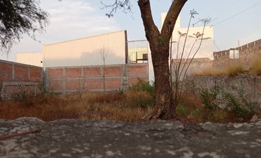 TERRENO COMERCIAL EN RENTA