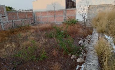 TERRENO COMERCIAL EN RENTA