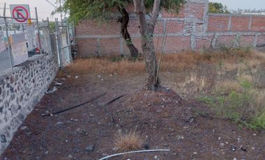TERRENO COMERCIAL EN RENTA