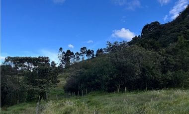 Venta finca lote con 192.000m2  con pesebreras, en La Ceja