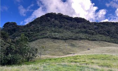 Venta finca lote con 192.000m2  con pesebreras, en La Ceja