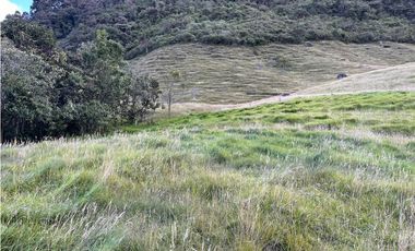 Venta finca lote con 192.000m2  con pesebreras, en La Ceja
