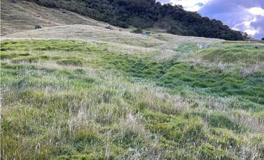 Venta finca lote con 192.000m2  con pesebreras, en La Ceja