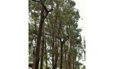 ESTRENA HERMOSO APARTAESTUDIO ENTRE RIONEGRO Y MARINILLA