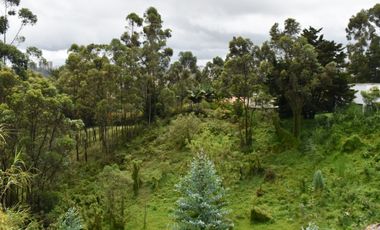 ESTRENA HERMOSO APARTAMENTO  ENTRE RIONEGRO Y MARINILLA