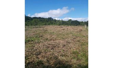 VENTA DE LOTES EN LDICE, MINIMO MIL METROS POR LOTE