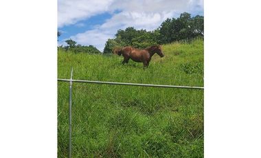 VENTA DE LOTES EN LDICE, MINIMO MIL METROS POR LOTE