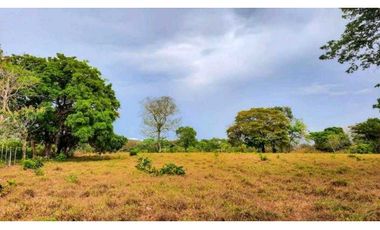 VENTA DE TERRENO EN MARIATO DE VERAGUAS, A 250 MTS DE PLAYA REINA