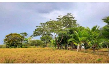 VENTA DE TERRENO EN MARIATO DE VERAGUAS, A 250 MTS DE PLAYA REINA