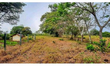 VENTA DE TERRENO EN MARIATO DE VERAGUAS, A 250 MTS DE PLAYA REINA