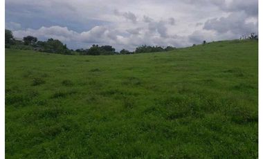 Se vende terreno 2000 m2 en Agua Buena de Los Santos.