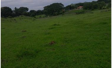 Se vende terreno 2000 m2 en Agua Buena de Los Santos.