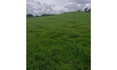 Se vende terreno 2000 m2 en Agua Buena de Los Santos.