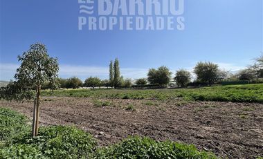 Sitio en Venta en Liray - Lo Pinto