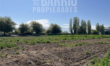 Sitio en Venta en Liray - Lo Pinto