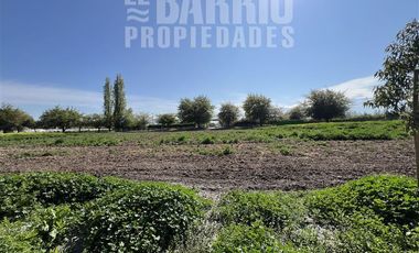 Sitio en Venta en Liray - Lo Pinto
