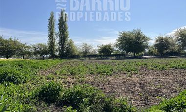 Sitio en Venta en Liray - Lo Pinto