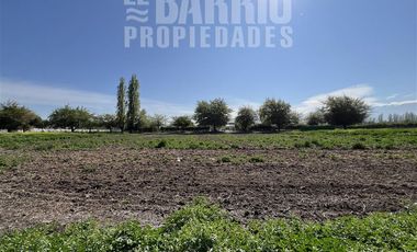 Sitio en Venta en Liray - Lo Pinto