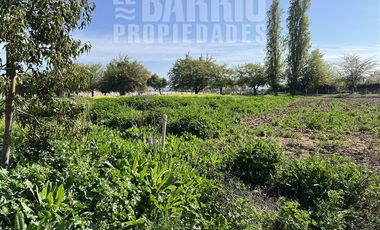Sitio en Venta en Liray - Lo Pinto