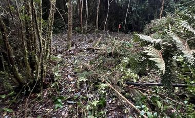 Sitio en Venta en Sector El Rosario, Iglesia Nuestra Señora del Rosario