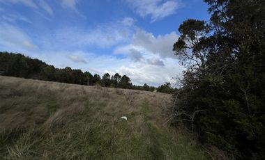 Sitio en Venta en Sector El Rosario, Iglesia Nuestra Señora del Rosario