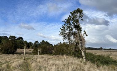 Sitio en Venta en Sector El Rosario, Iglesia Nuestra Señora del Rosario