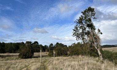 Sitio en Venta en Sector El Rosario, Iglesia Nuestra Señora del Rosario
