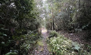 Sitio en Venta en Sector El Rosario, Iglesia Nuestra Señora del Rosario