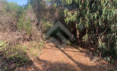 Terreno Construccion  en Venta en POR CAMINO COSTERO