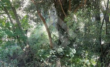 Parcela en Venta en Niebla