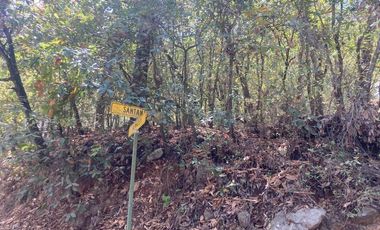 Venta terreno Bosques de San Angel, San Pedro Garza García