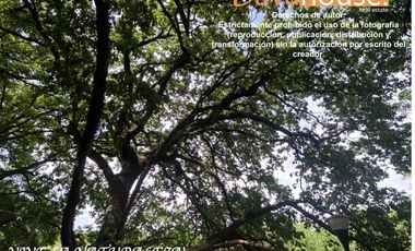 Venta casa Bosque Residencial