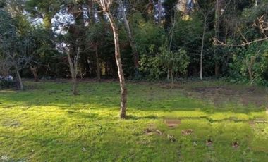 TERRENO EN EL SOSIEGO
