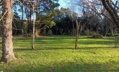 TERRENO EN EL SOSIEGO