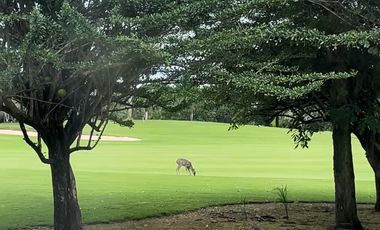 Terreno en Venta en el Yucatán Country Club, Privada Xtacay. Hasta 12 MSI