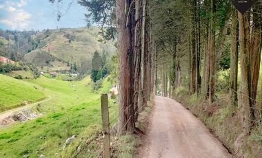 Terreno de venta en Tarqui - Zhucay - alamos – código:21465