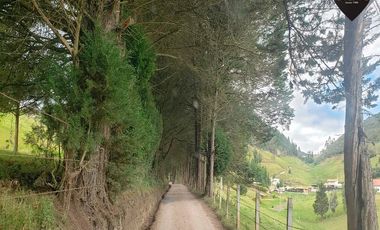 Terreno de venta en Tarqui - Zhucay - alamos – código:21465