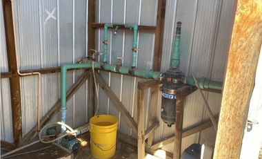 Illapel Parcela 2,3 Há con casa. 2 acciones de agua nogales paltos