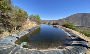 Illapel Parcela 2,3 Há con casa. 2 acciones de agua nogales paltos