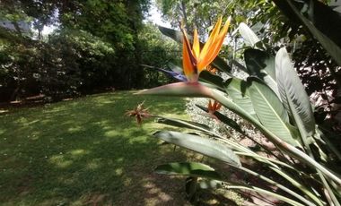 DEPARTAMENTO VENTA VESPUCIO/ VITACURA JARDÍN PROPIO