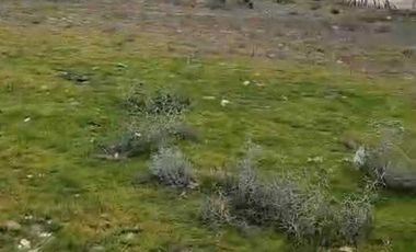 TERRENO EN VENTA EN EJIDO HÉROES DE LA INDEPENDENCIA , ENSENADA