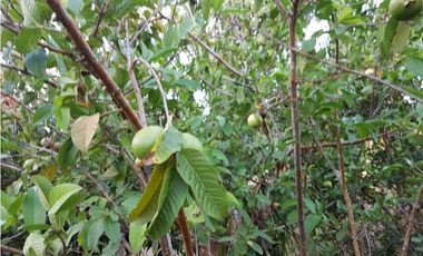 VENTA CASA EN ALTOS DEL MARA MONTAÑA