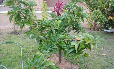 VENTA CASA EN ALTOS DEL MARA MONTAÑA