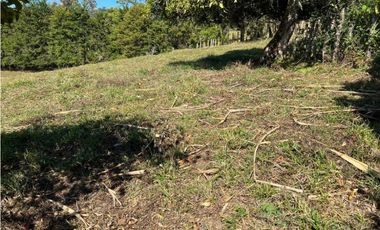 VENDO FINCA DE 23 HECTAREAS + CON AGUA VIVA