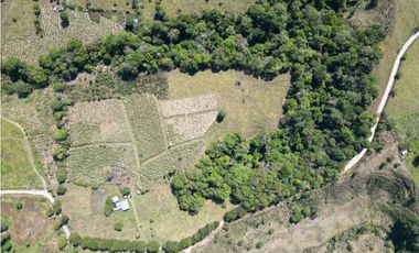 VENDO FINCA DE 23 HECTAREAS + CON AGUA VIVA