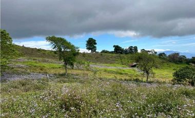 VENDO FINCA DE 23 HECTAREAS + CON AGUA VIVA