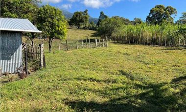 VENDO FINCA DE 23 HECTAREAS + CON AGUA VIVA