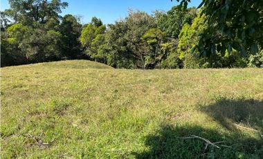 VENDO FINCA DE 23 HECTAREAS + CON AGUA VIVA